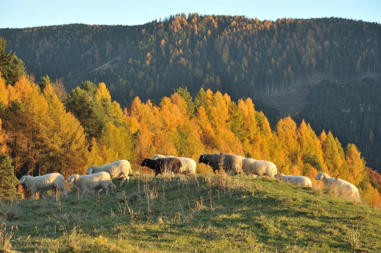 Schiessstandhof Panzió Montagna Kültér fotó